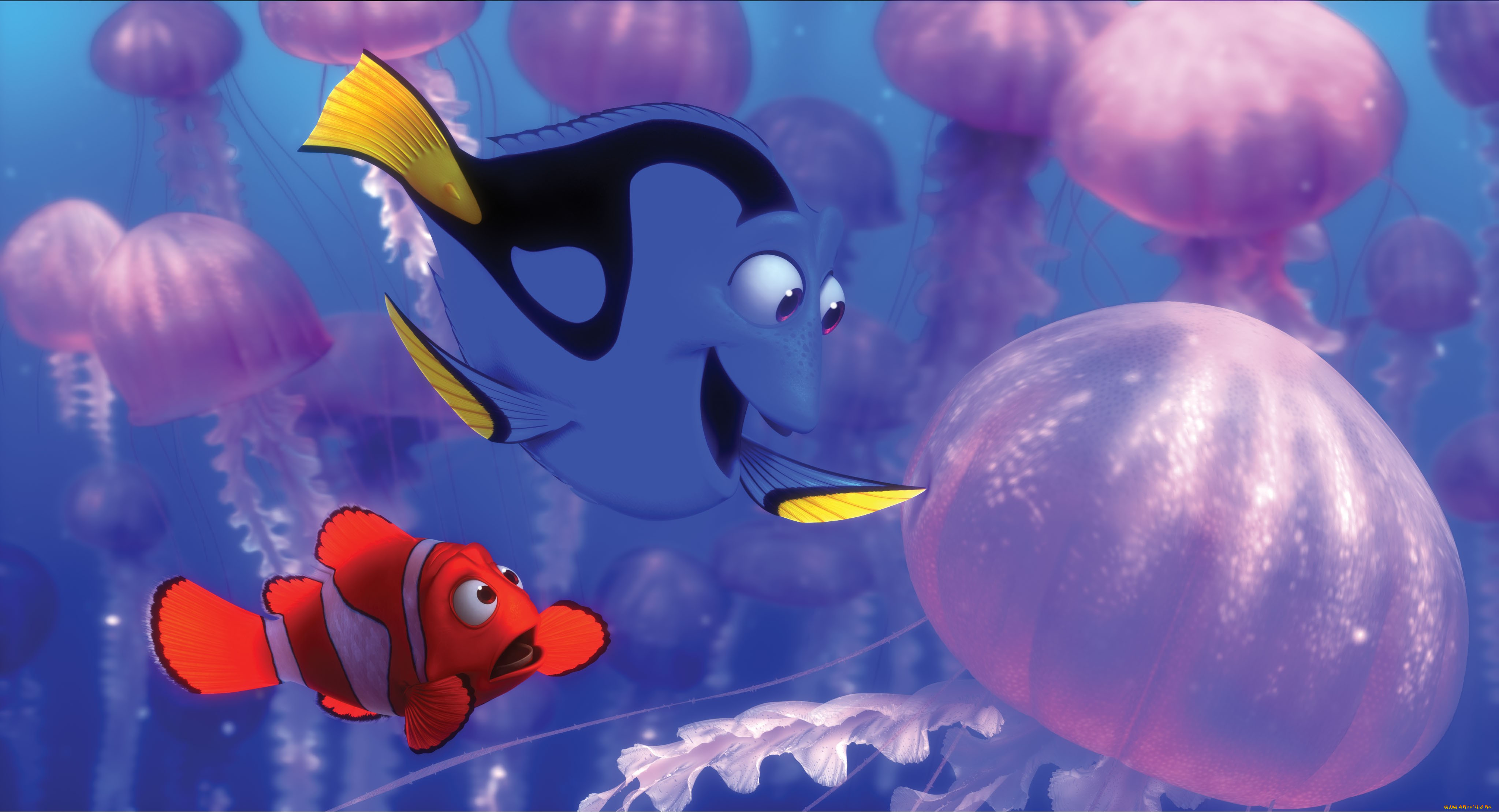 finding, nemo, , , , 